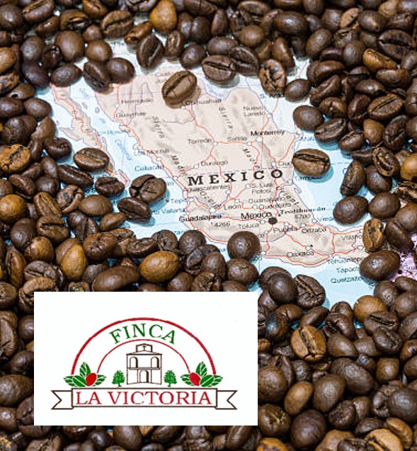 Foto Koffie Deca Mexico